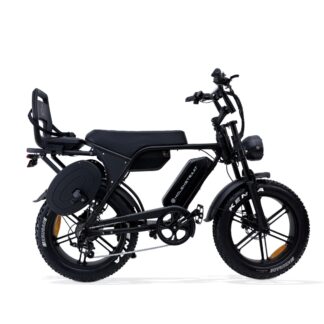 Molenstraat DAPPER PRO Family J fatbike – Inmotion Suisse Berne