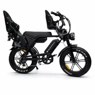 Molenstraat DAPPER PRO Family L – Electric fatbike
