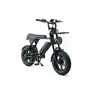 Molenstraat MINI MS – Electric fatbike